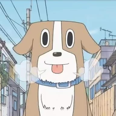 Nichijou's dog